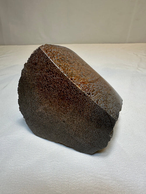 Polished Dinosaur Bone