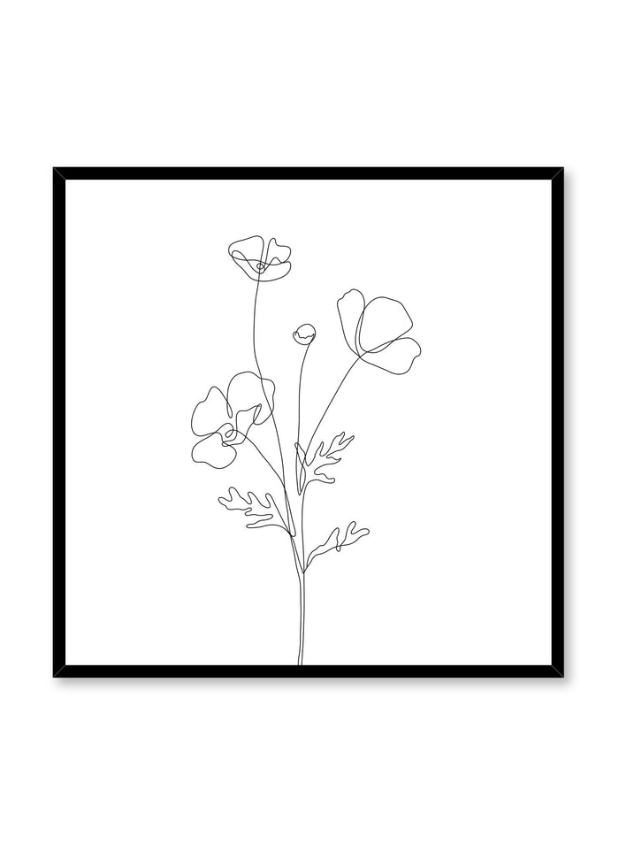 Minimalist design poster by Opposite Wall with line art drawing of poppy in square format