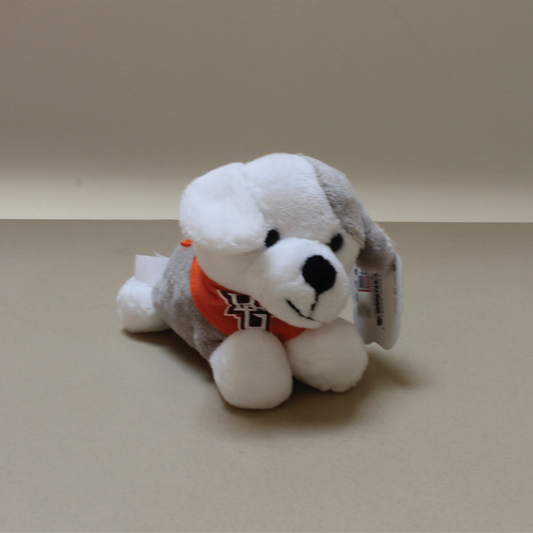 Puppy with BGSU Bandana