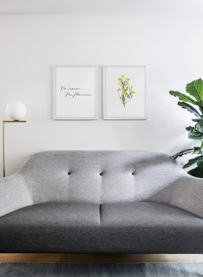 Modern minimalist poster by Opposite Wall with encyclopedic illustration of Ranunculus Acris and no rain, no flowers quote - living room