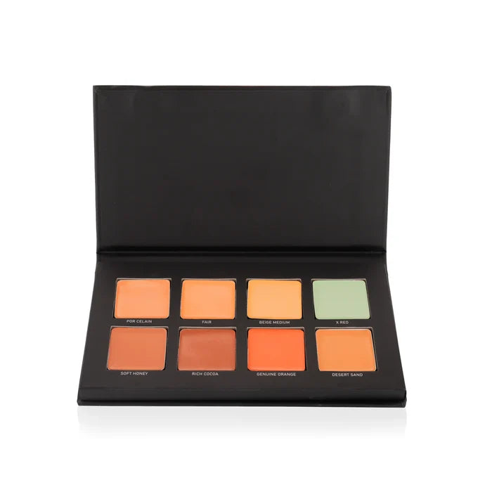 RICHA DAVE CONCEAL & CORRECT PALETTE