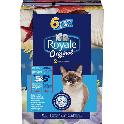 Royale: Original 2 Ply Facial Tissue, Soft & Strong, 6 Tissue Boxes, 100 Tissues Per Box