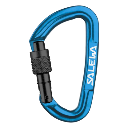 Salewa Hot G3 Screw Carabiner