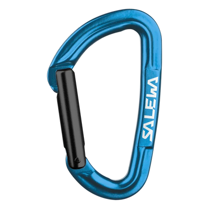 Salewa Hot G3 Straight Carabiner