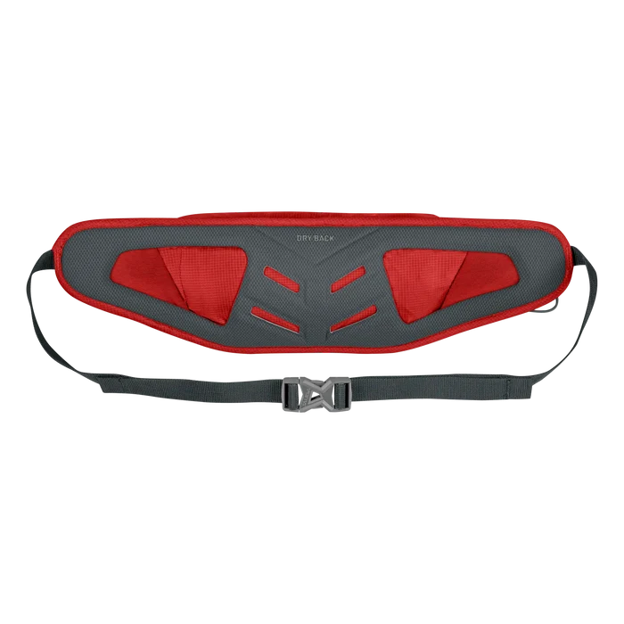 Salewa Lite Train Hipbelt