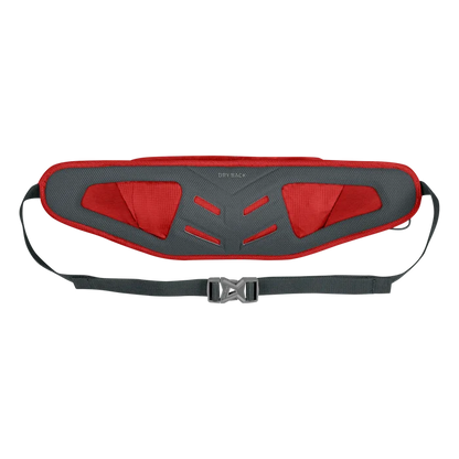 Salewa Lite Train Hipbelt