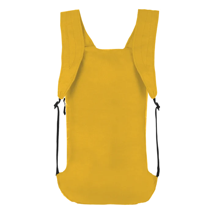 Salewa Ultralight 22L