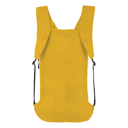 Salewa Ultralight 22L