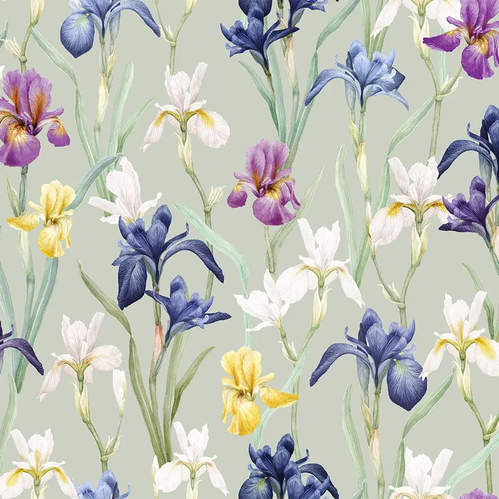 Schlossberg Charlotte Bedding Collection