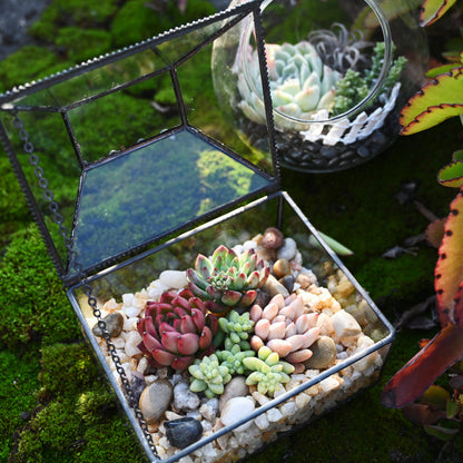 Smooth Natural River Stones Rocks, 8mm-12mm