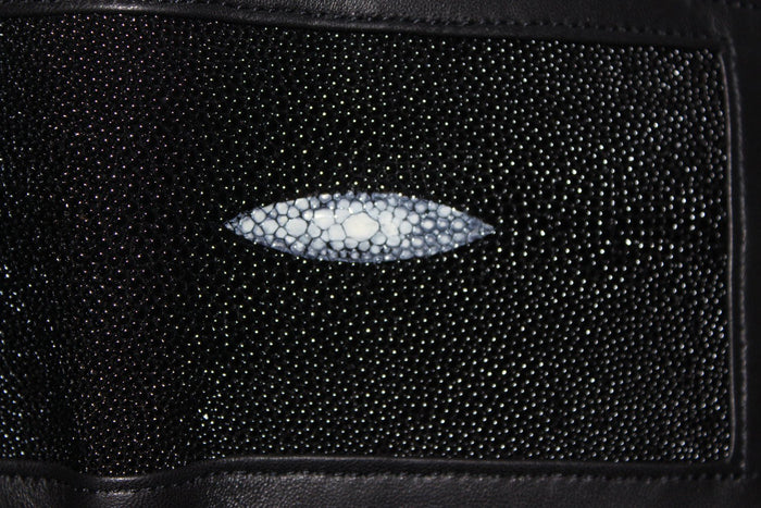 Stingray Wallet