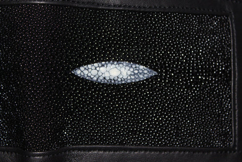 Stingray Wallet