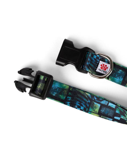 Surf Flare Pet Collar in Dark Grey