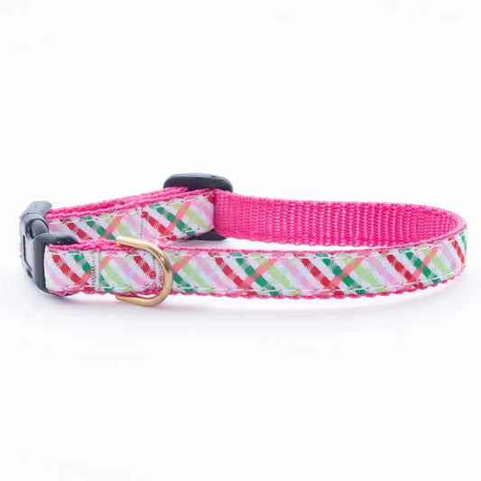 gingham-all-the-way-collar-small-breed-teacup