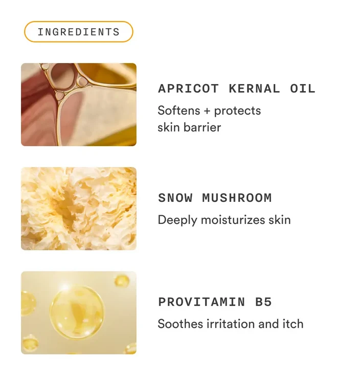 Nood Shave Lube ingredient breakdown showing Apricot Kernel Oil, Snow Mushroom, and Provitamin B5 for skin softening and irritation relief