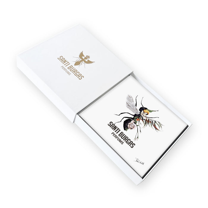 WHITE COLLECTION DISCOVERY SET