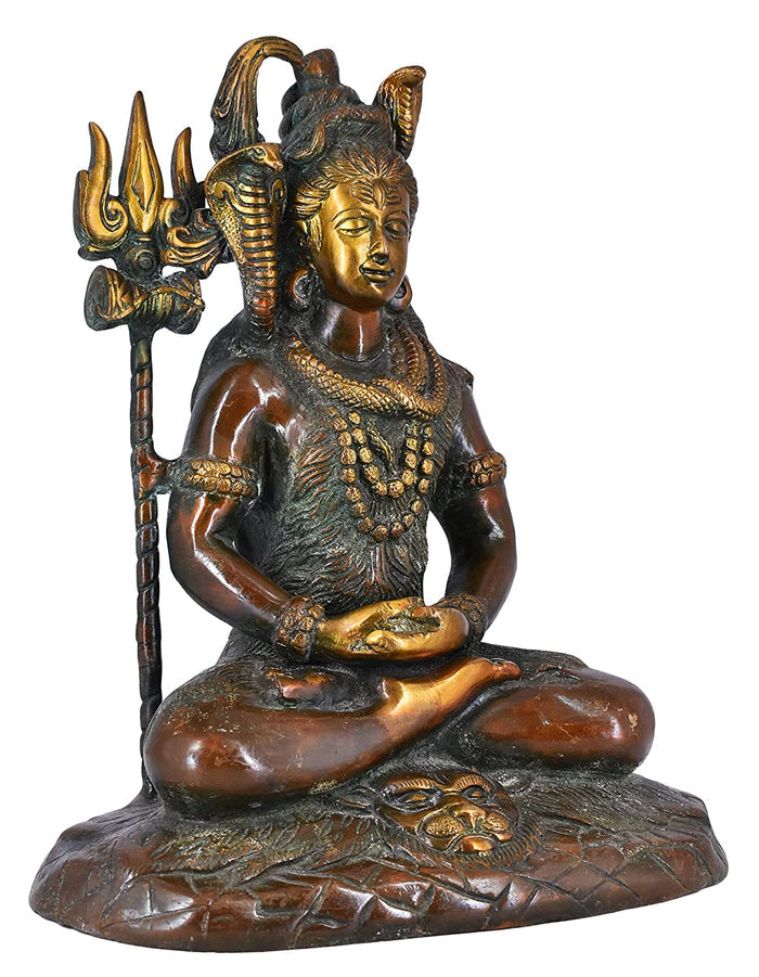 White Whale Lord Shiva Brass Statue Idol  Hindu God Natraja Shiv Figurine Home Decor
