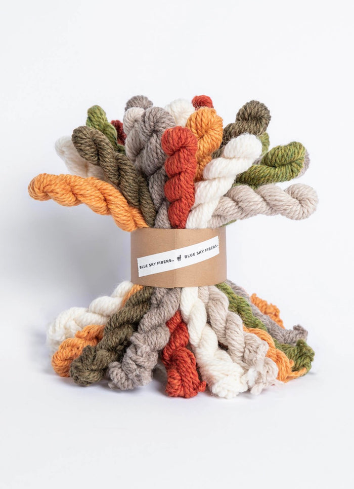 Woolstok Bundle Kit | Blue Sky Fibers
