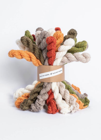 Woolstok Bundle Kit | Blue Sky Fibers