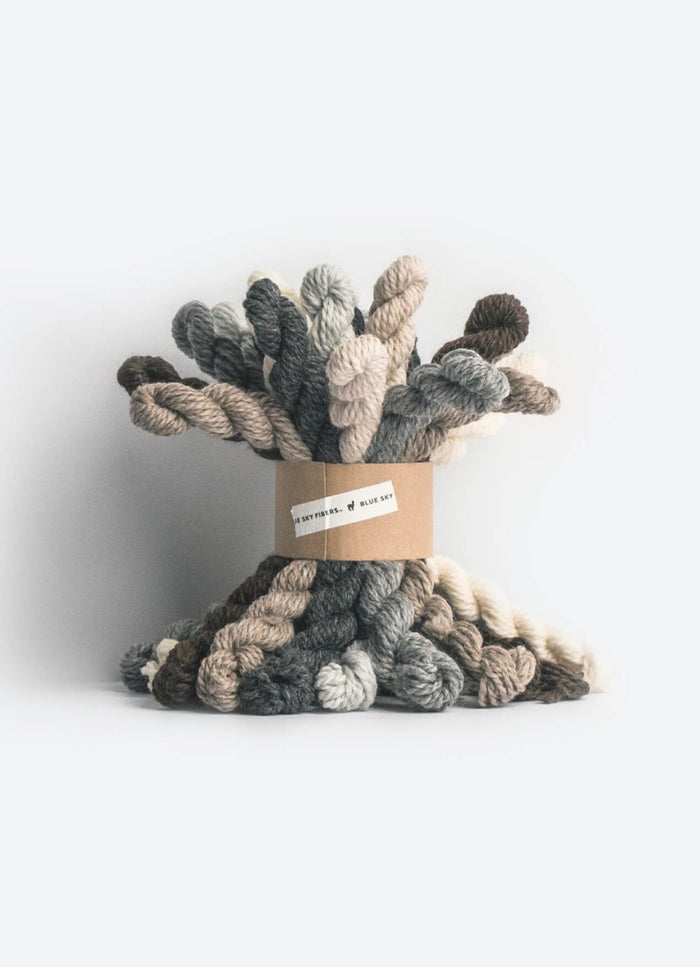 Woolstok Bundle Kit | Blue Sky Fibers