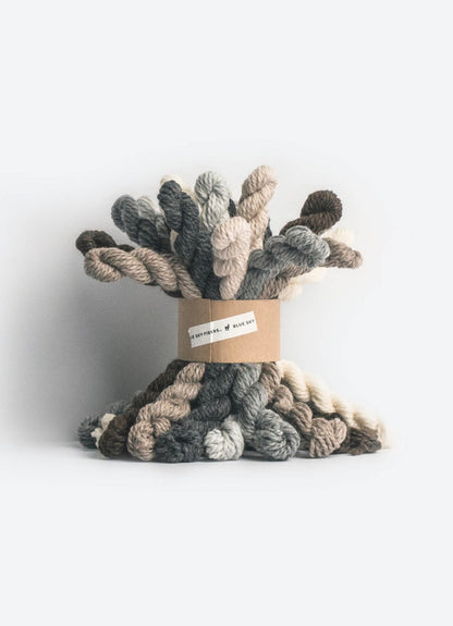 Woolstok Bundle Kit | Blue Sky Fibers