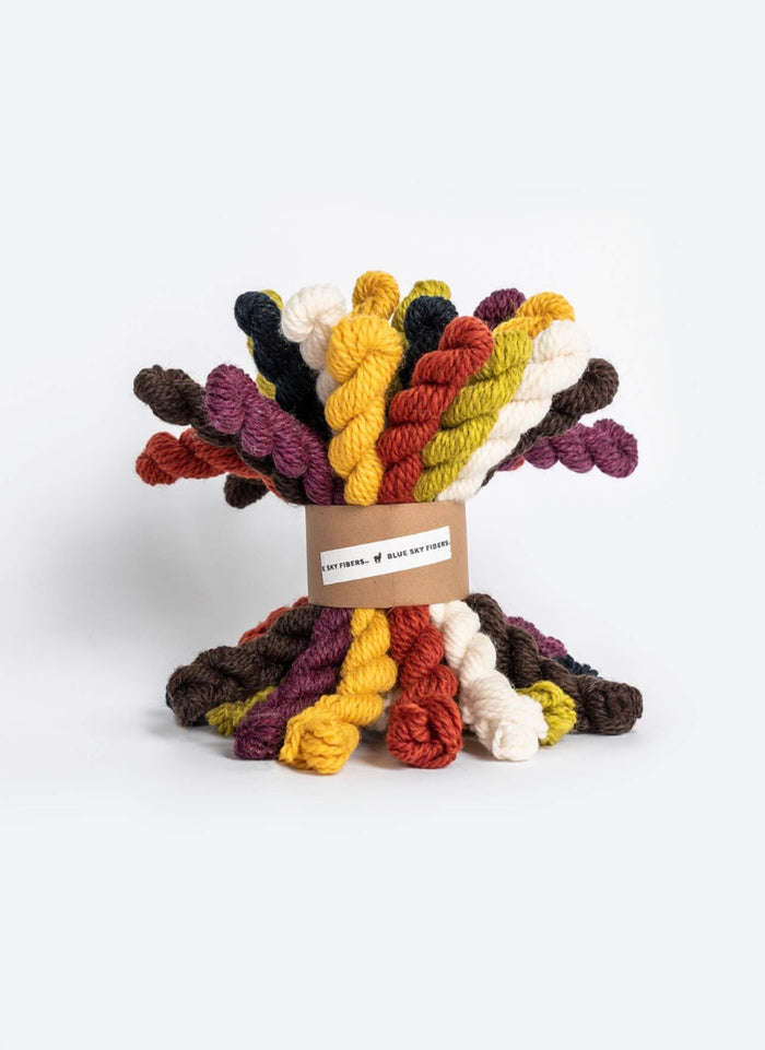 Woolstok Bundle Kit | Blue Sky Fibers